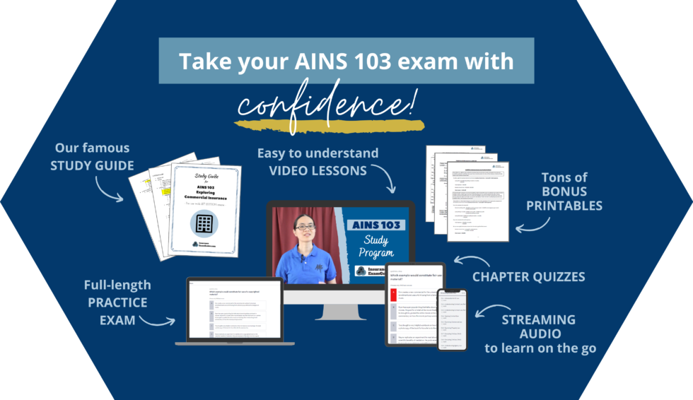 Ultimate Guide To Passing AINS 103 - InsuranceExamGuides.com